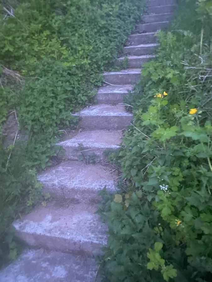 Anna Bed & Breakfast Kallaste (Lake Peipus) Exterior foto